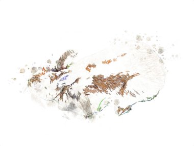 Yeşil çayırlarda oturan sevimli tavşan, Paskalya tavşanı avı