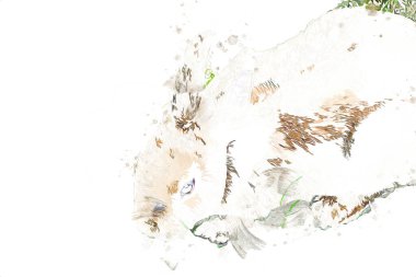 Yeşil çayırlarda oturan sevimli tavşan, Paskalya tavşanı avı