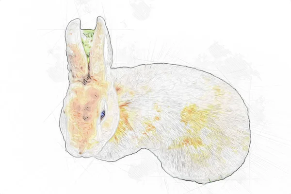 Cute Królik Siedzi Zielonym Polu Wiosna Łąka Easter Bunny Polowanie — Zdjęcie stockowe