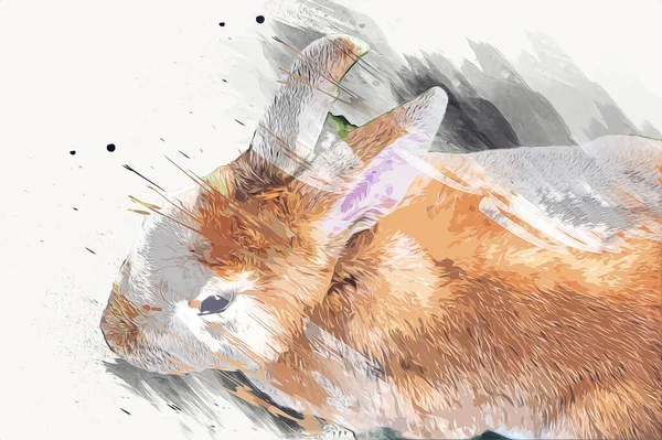 Милый Кролик Сидит Зеленом Поле Весенний Луг Пасхальный Кролик Охота — стоковое фото