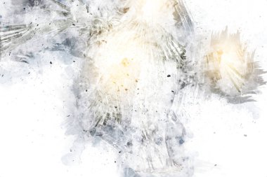 Çinli hayran palmiye yaprağı, sanat, illüstrasyon, retro, çizim, eskiz, klasik, retro, antika,