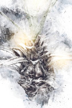 Kanarya Adasının Tarih Ayası (Anka kanaryası), Macaronezya kökenlidir