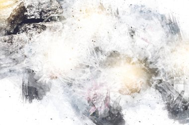 Aechmea fasciata çiçek, yeşil yapraklar, illüstrasyon, çizim, çizim, antika, retro, vintage