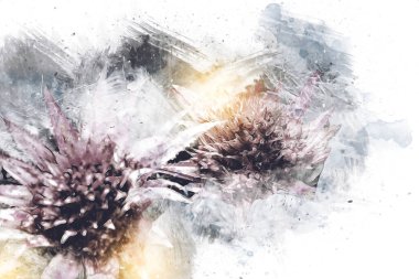 Aechmea fasciata çiçek, yeşil yapraklar, illüstrasyon, çizim, çizim, antika, retro, vintage