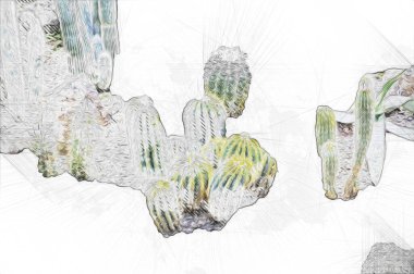 Bahar zamanı kaktüs bahçesi çölü, illüstrasyon, çizim, eskiz, antika, antika, antika, antika