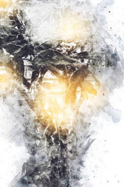 Hint ormanındaki kaktüs bitkisi, yabani kaktüs bitkisi Opuntia monacantha bitkisi, illüstrasyon, çizim, eskiz, antika, antika, antika