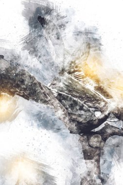 Hint ormanındaki kaktüs bitkisi, yabani kaktüs bitkisi Opuntia monacantha bitkisi, illüstrasyon, çizim, eskiz, antika, antika, antika