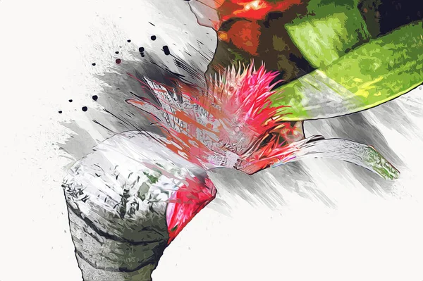 Aechmea Fasciata Kwiat Kwitnący Zielonymi Liśćmi Ilustracja Rysunek Szkic Antyk — Zdjęcie stockowe