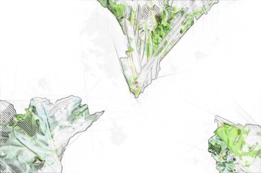 Kalp şeklinde iki renkli Philodendron sabanı nadir bulunan egzotik yağmur ormanları bitkisi eğreltiotu ve tropikal yaprak çeşitleri ile süs bahçesinde, illüstrasyon, çizim, çizim, antika, retro, vintage.