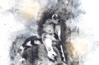 Bir grup dinlenen lemurlar katta, illüstrasyon, çizim, eskiz, antika, antika, antika.