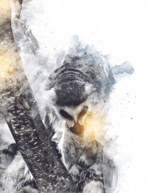 Bir grup dinlenen lemurlar katta, illüstrasyon, çizim, eskiz, antika, antika, antika.