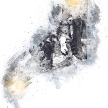 Bir grup dinlenen lemurlar katta, illüstrasyon, çizim, eskiz, antika, antika, antika.