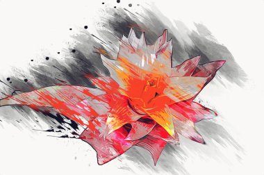 Bir Guzman lingulata çiçeğinin fotoğrafı, illüstrasyon, çizim, çizim, antika, retro, vintage.