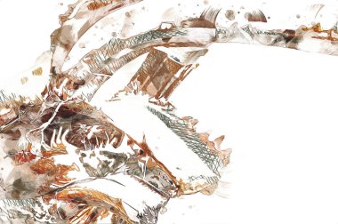 Kraliçe Sago Cycas Palmiye Ağacı 'nın yakın plan resmi, çizimi, eskizi, antika, retro, vintage.