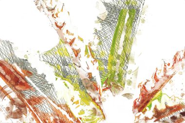 Kraliçe Sago Cycas Palmiye Ağacı 'nın yakın plan resmi, çizimi, eskizi, antika, retro, vintage.