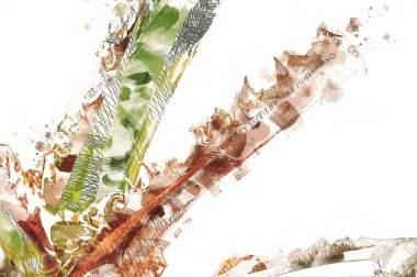 Kraliçe Sago Cycas Palmiye Ağacı 'nın yakın plan resmi, çizimi, eskizi, antika, retro, vintage.