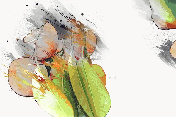 Bahar Festivali 'nde süs bitkisi olarak kullanılan verimli saksı portakalları, illüstrasyon, çizim, eskiz, antika, antika, antika