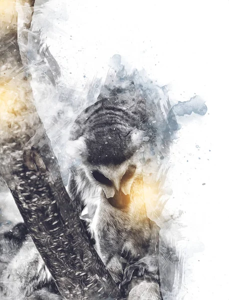 Bir grup dinlenen lemurlar katta, illüstrasyon, çizim, eskiz, antika, antika, antika.