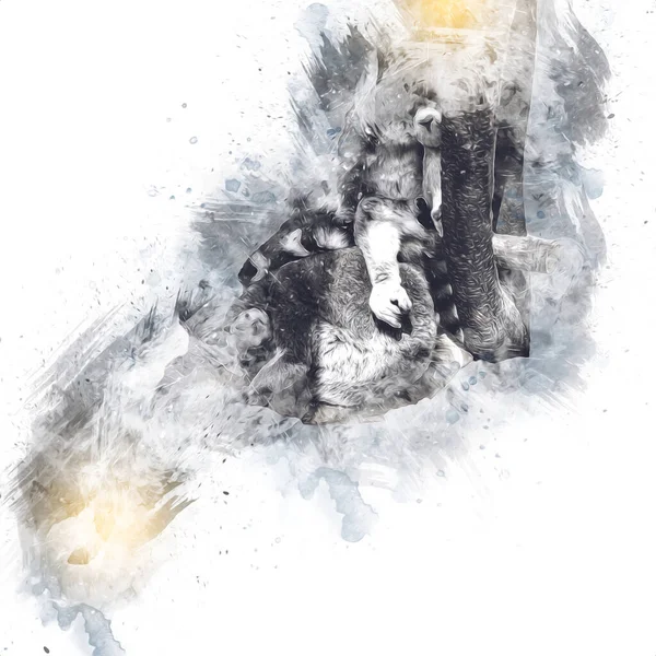 Bir grup dinlenen lemurlar katta, illüstrasyon, çizim, eskiz, antika, antika, antika.