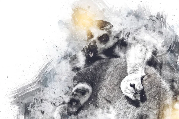 Bir grup dinlenen lemurlar katta, illüstrasyon, çizim, eskiz, antika, antika, antika.