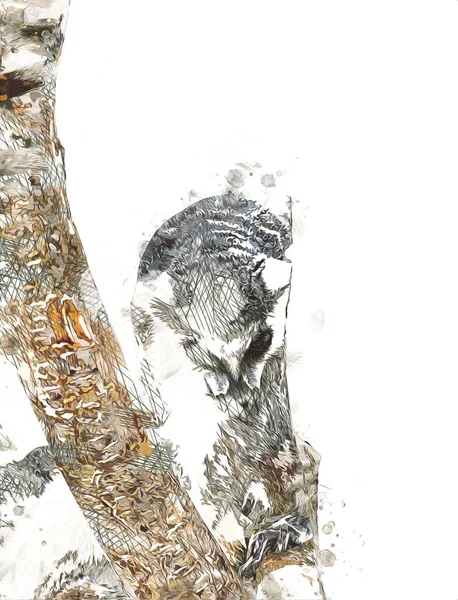 Bir grup dinlenen lemurlar katta, illüstrasyon, çizim, eskiz, antika, antika, antika.