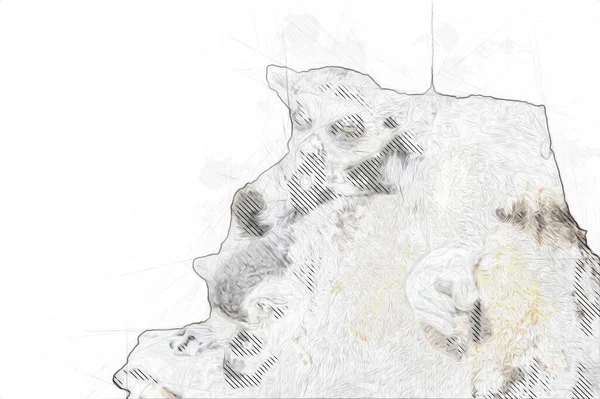 Bir grup dinlenen lemurlar katta, illüstrasyon, çizim, eskiz, antika, antika, antika.