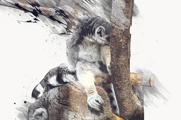 Bir grup dinlenen lemurlar katta, illüstrasyon, çizim, eskiz, antika, antika, antika.