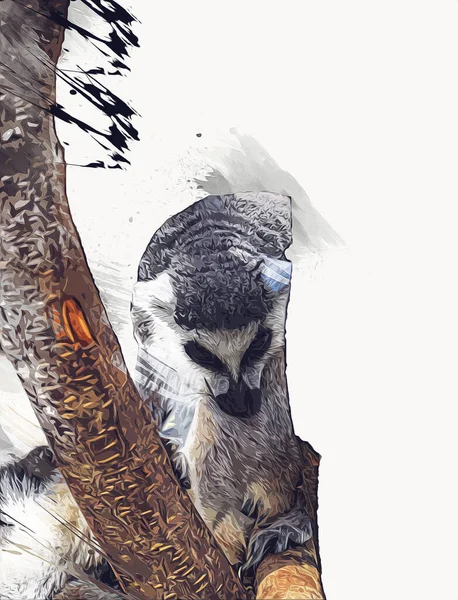 Bir grup dinlenen lemurlar katta, illüstrasyon, çizim, eskiz, antika, antika, antika.