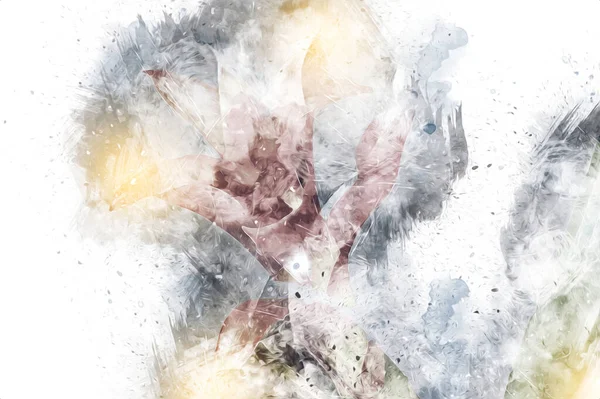 Bir Guzman lingulata çiçeğinin fotoğrafı, illüstrasyon, çizim, çizim, antika, retro, vintage.