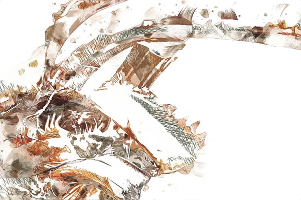 Kraliçe Sago Cycas Palmiye Ağacı 'nın yakın plan resmi, çizimi, eskizi, antika, retro, vintage.