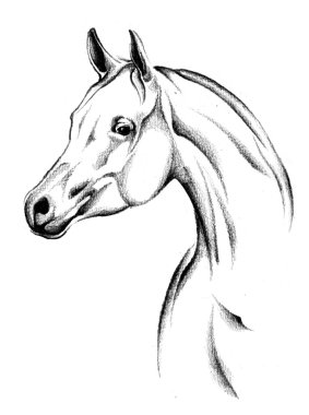 At çizim Eskiz sanat