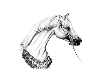 At çizim Eskiz sanat