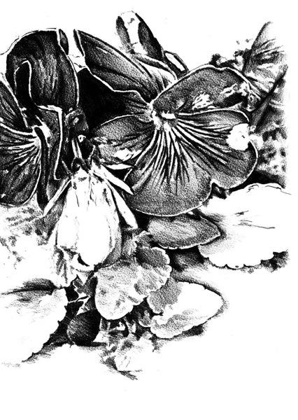 Dessin de fleurs croquis art — Photo