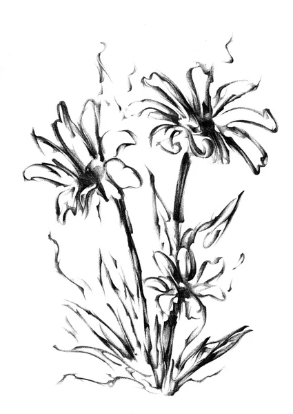 Blume Zeichnung Skizzenkunst — Stockfoto