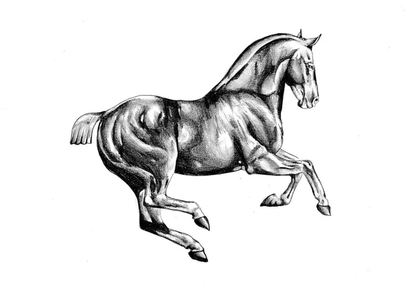 Disegno a cavallo schizzo arte — Foto Stock