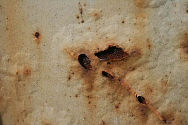 grunge parçalanmış boya paslı metal arkaplan