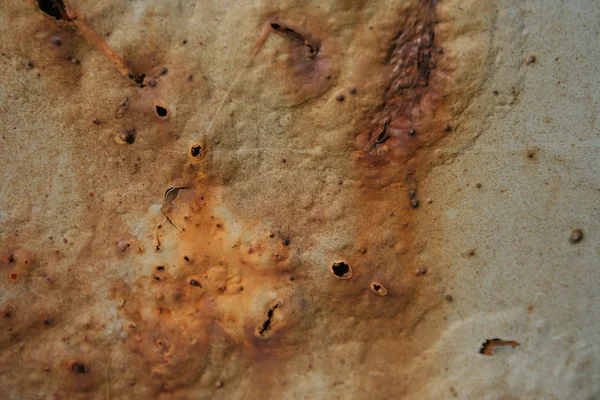 grunge parçalanmış boya paslı metal arkaplan