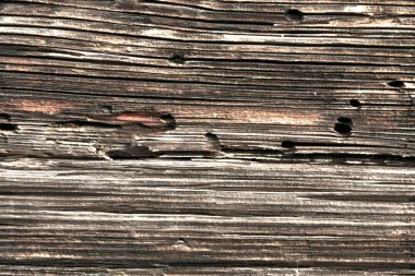 Wood texture old hdr