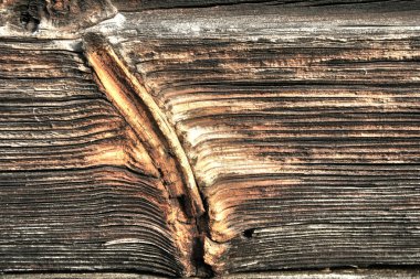 Wood texture old hdr