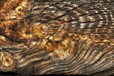 Wood texture old hdr