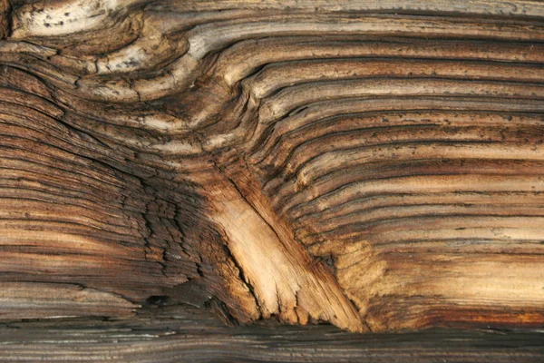 Holz Textur alt — Stockfoto
