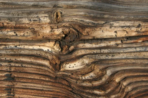 Staré dřevo textury — Stock fotografie