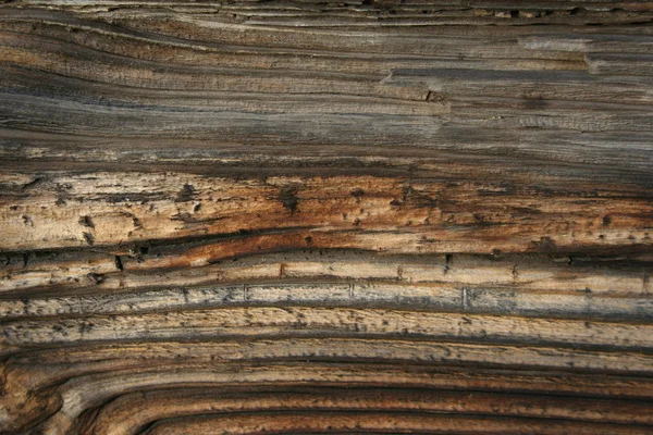 Trä textur gamla — Stockfoto