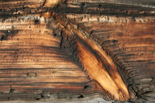 Wood texture old — Stock Photo, Image