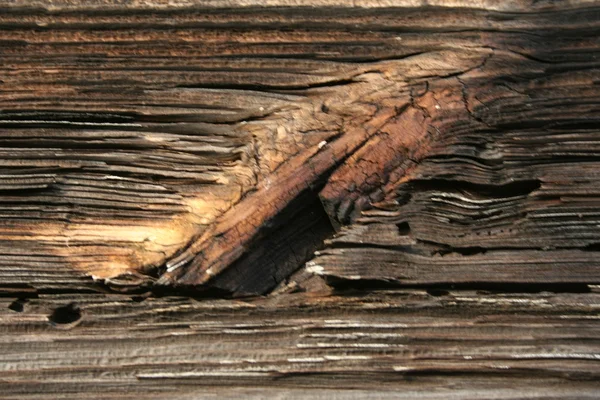 Struttura del legno vecchio — Foto Stock