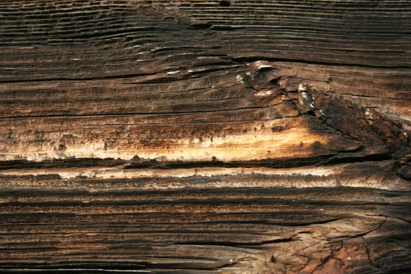Holz Textur alt — Stockfoto
