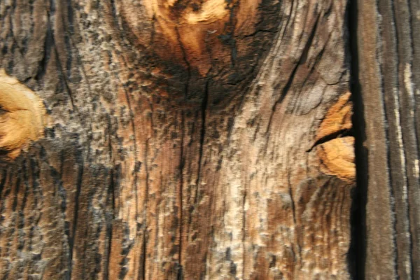 Textura de madera vieja — Foto de Stock