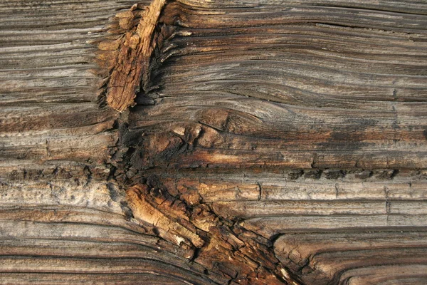 Struttura del legno vecchio — Foto Stock