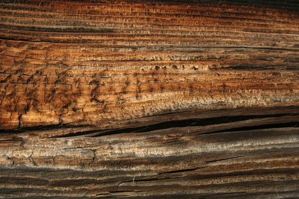 Textura de madeira velha — Fotografia de Stock