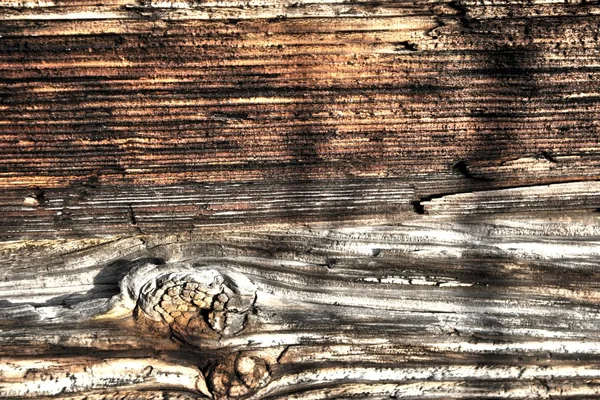 Wood texture old hdr — Stock Photo, Image